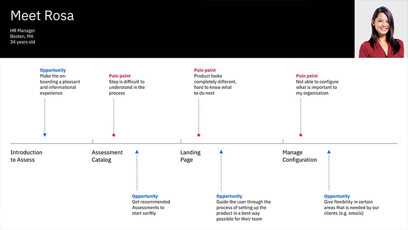 Pain points captured for Rosa her journey